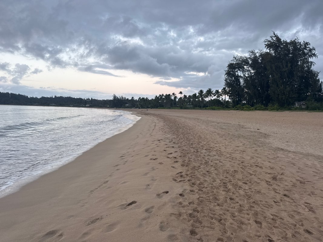 walking near me in Waioli Beach Park in autumn