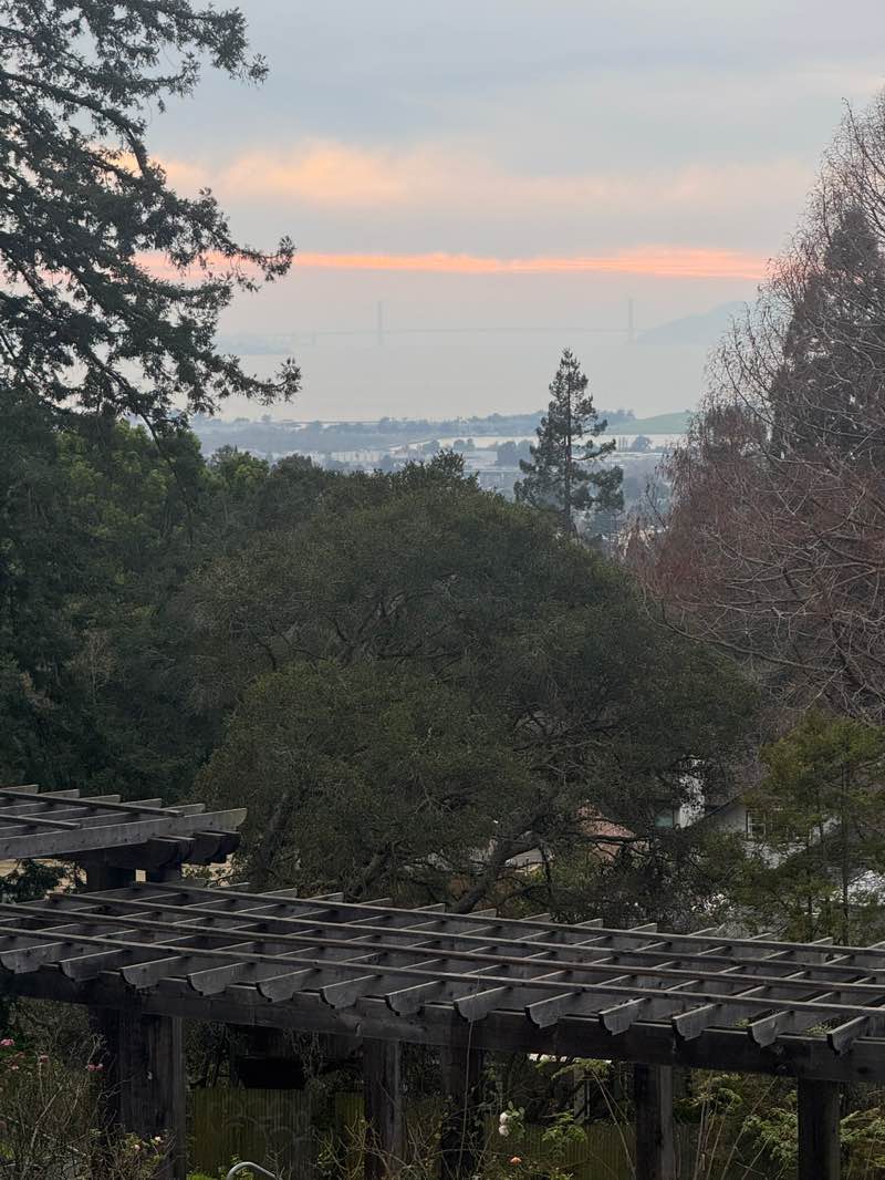 walking near me in Berkeley Rose Garden in winter