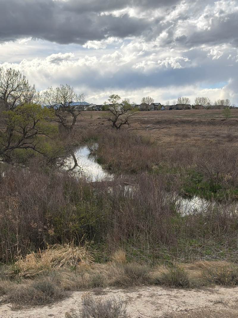 walking near me in Westfield Village Park in spring