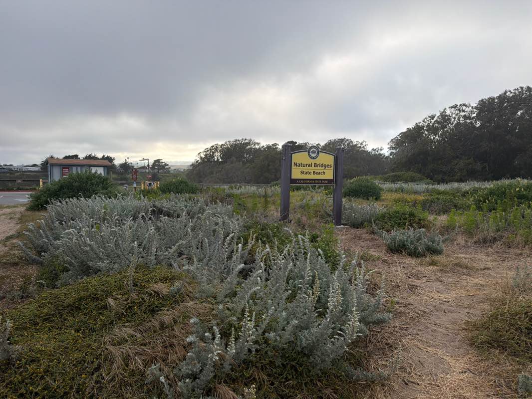 walking near me in Natural Bridges State Park in summer