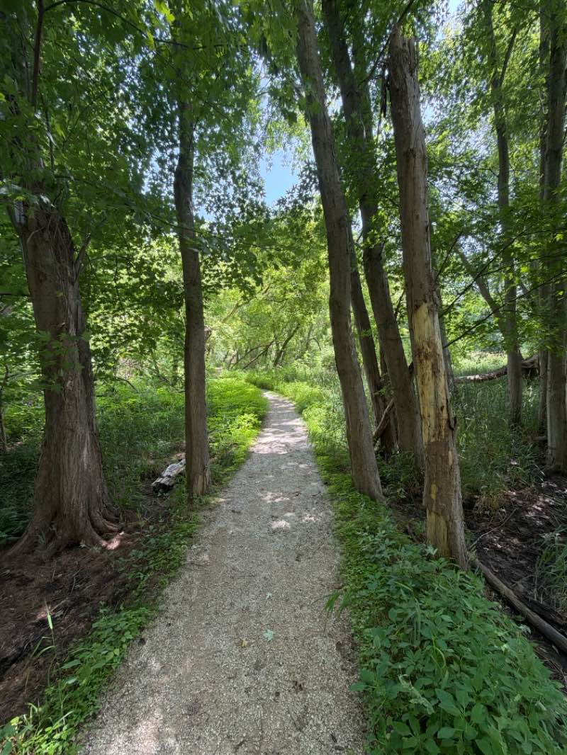 walking near me in North Shore Park in summer