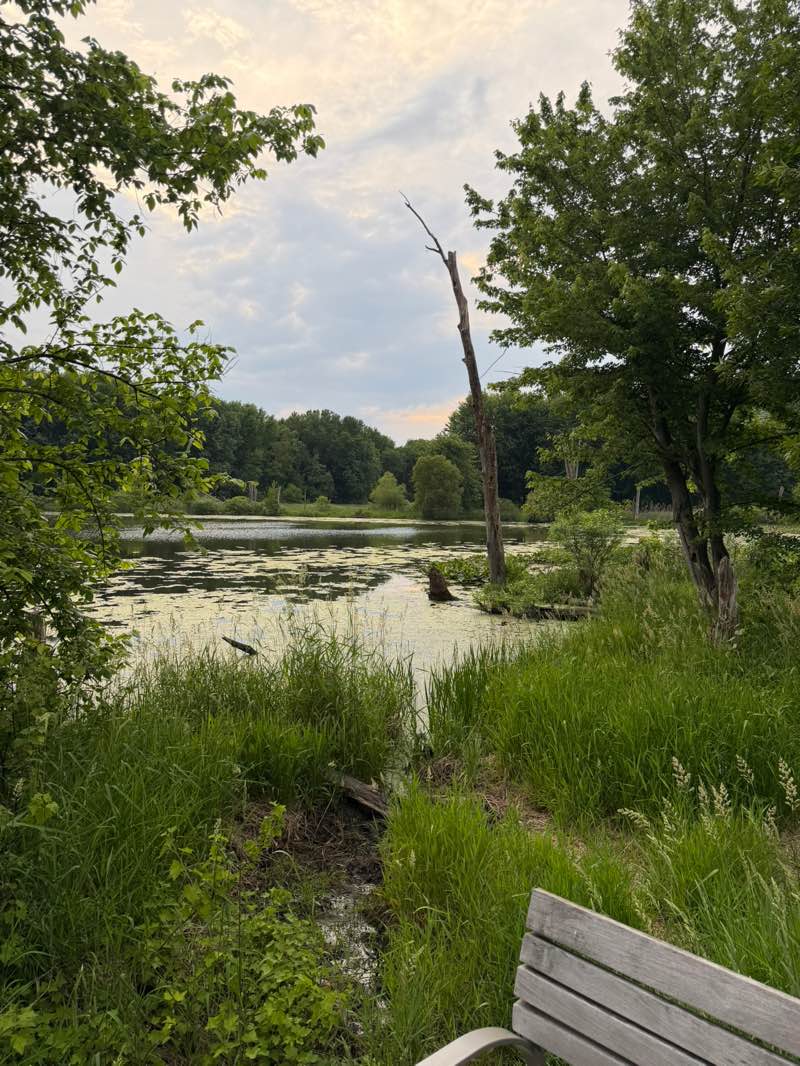 walking near me in North Shore Park in summer