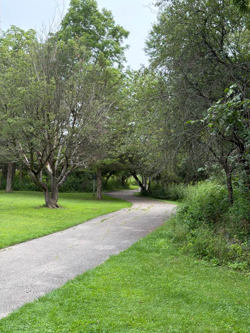 walking near me in Huff Park in summer