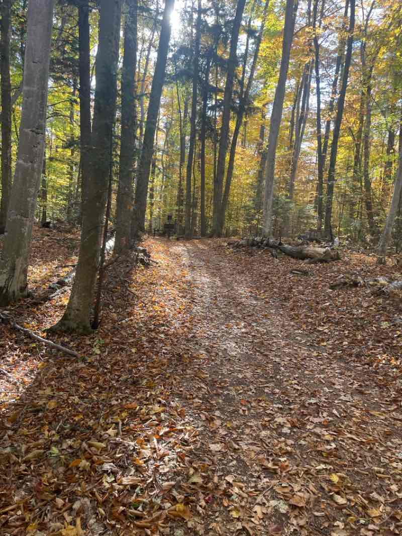 walking near me in Ferdinand Hotz Park in winter