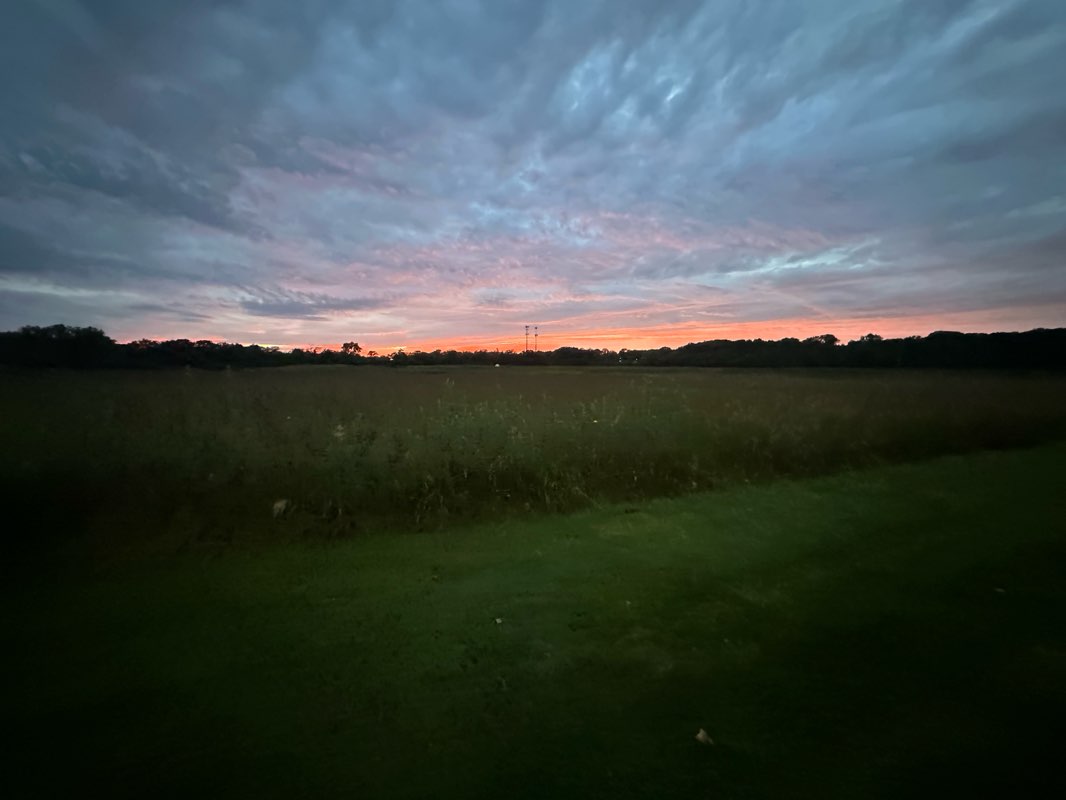 walking near me in Martin Park in winter