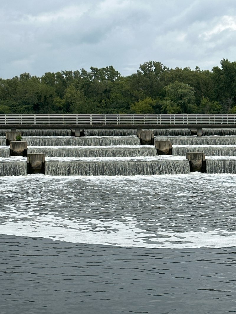 walking near me in Wood Ridge Forest Preserve in winter