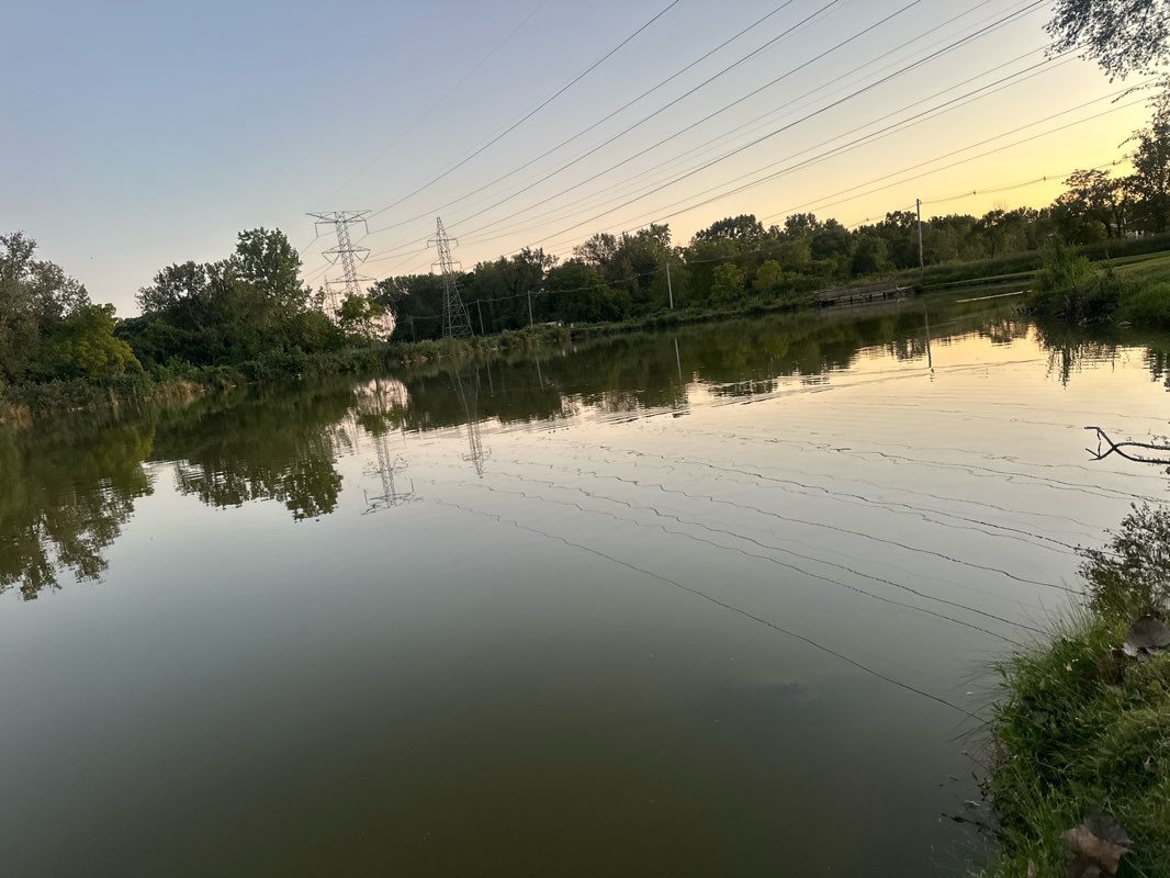 walking near me in Bill Dunnett Field in winter