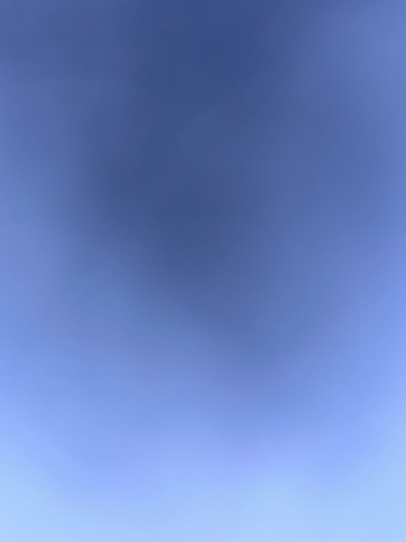 walking near me in 朝倉公園 in winter