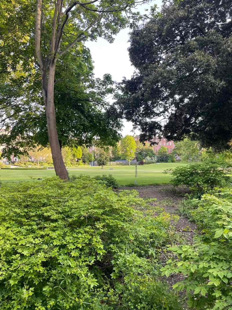 walking near me in Merrion Square Park in spring