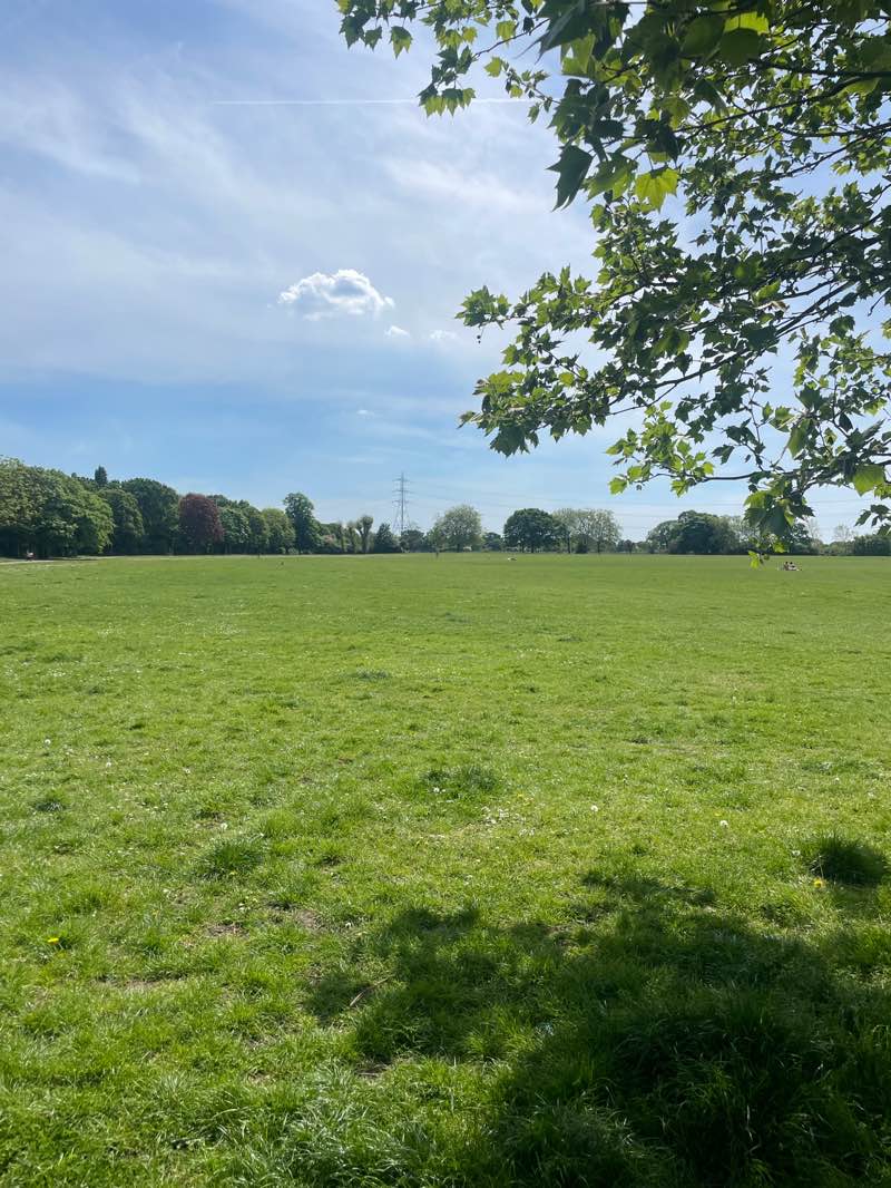 walking near me in Sir Joseph Hood Memorial Playing Fields in spring
