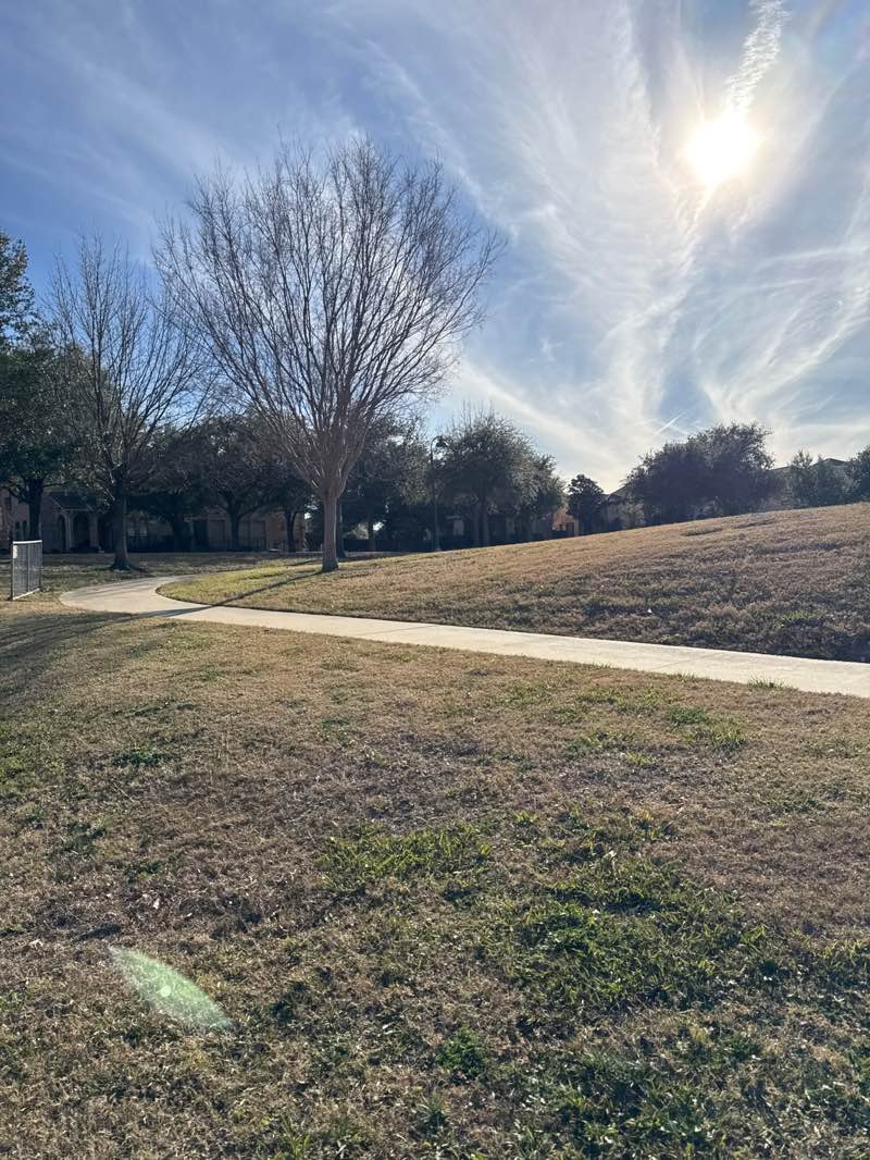 walking near me in La Villita Park in winter