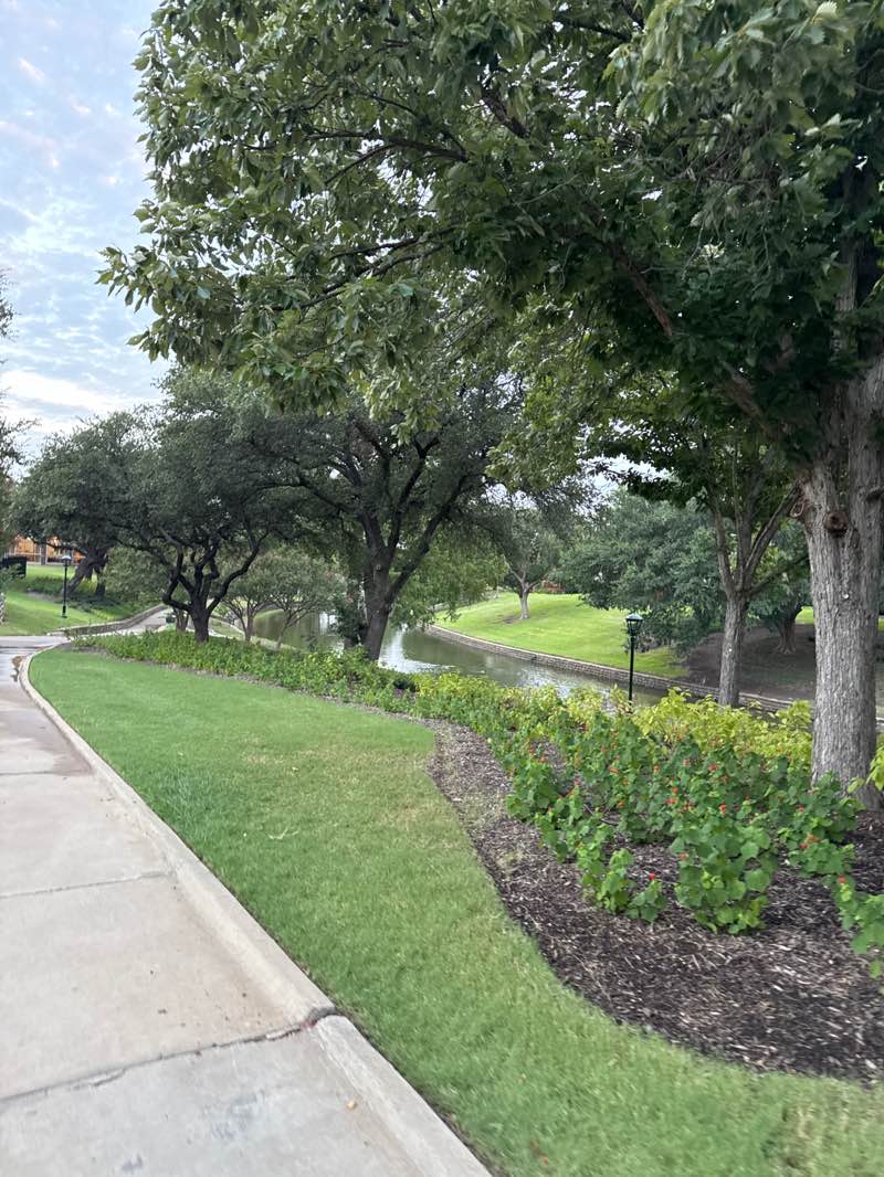 walking near me in Saddlehorn Park in summer