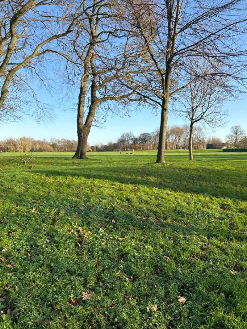 walking near me in Moor Park in autumn