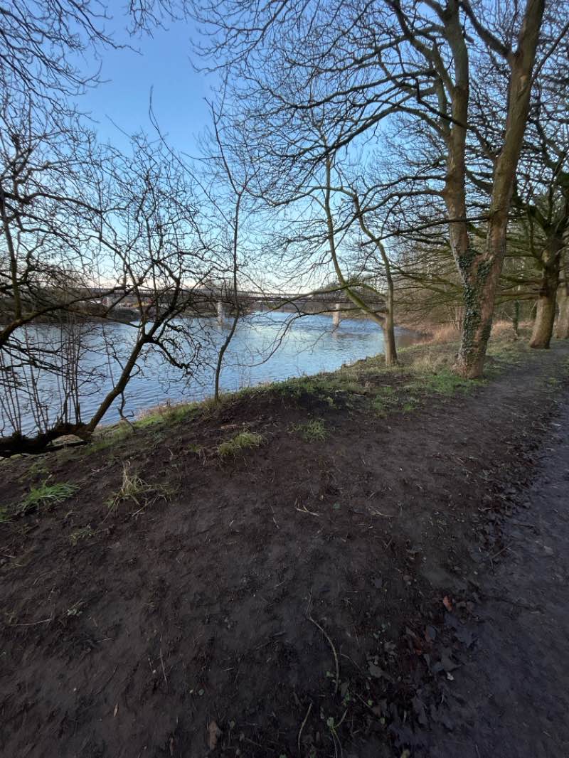 walking near me in Miller Park in winter