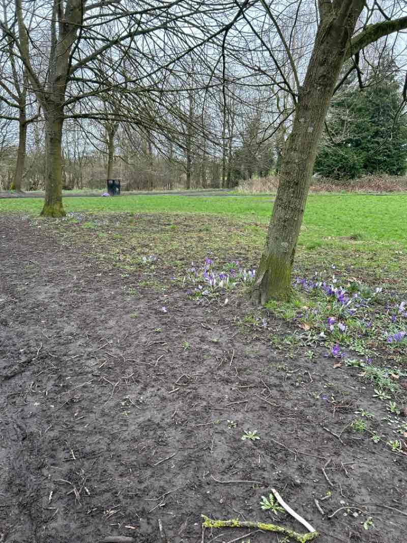 walking near me in Haslam Park in spring