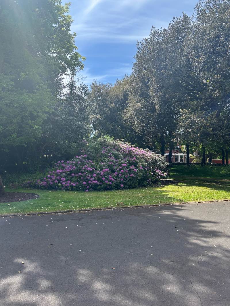 walking near me in The Green in summer