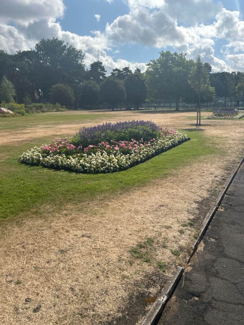 walking near me in Fairhaven Lake in summer