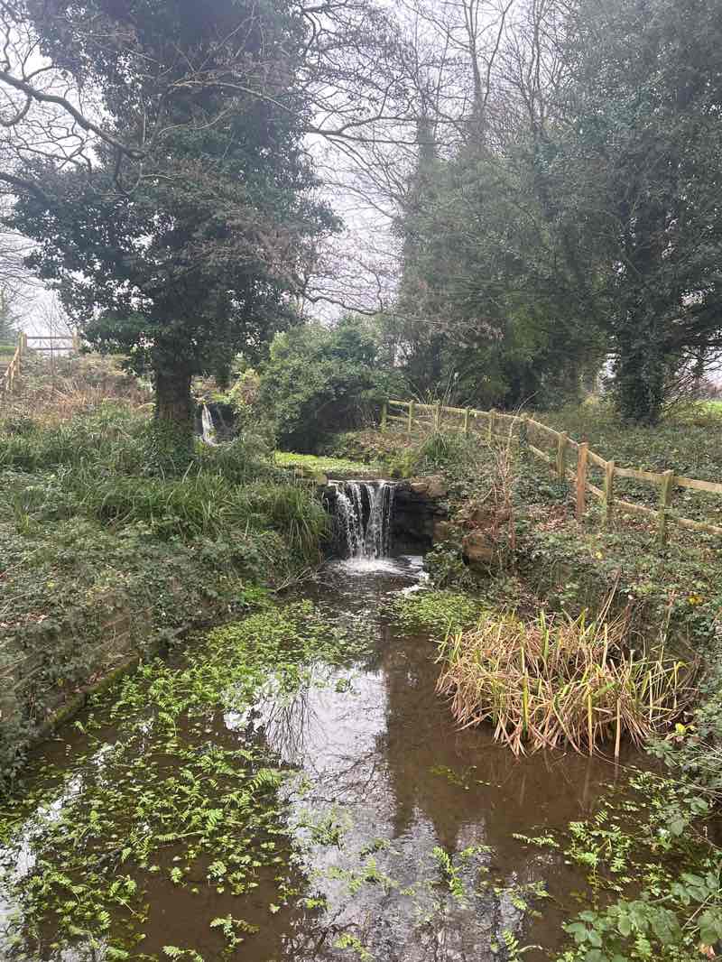 walking near me in Haslam Park in winter