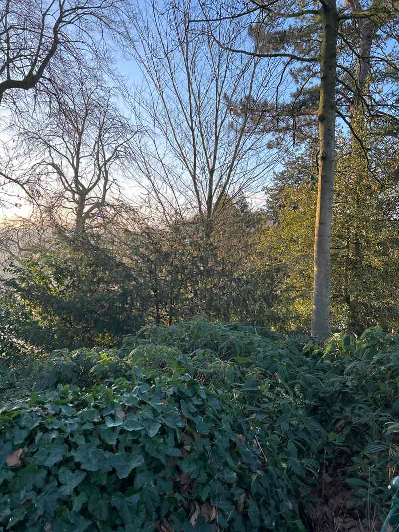 walking near me in Avenham Park in winter