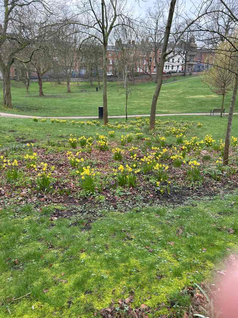 walking near me in Winckley Square in spring
