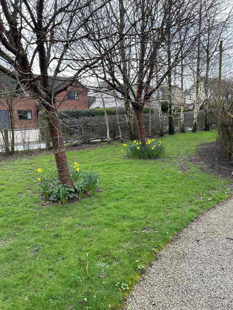 walking near me in Kepple Lane Park in spring