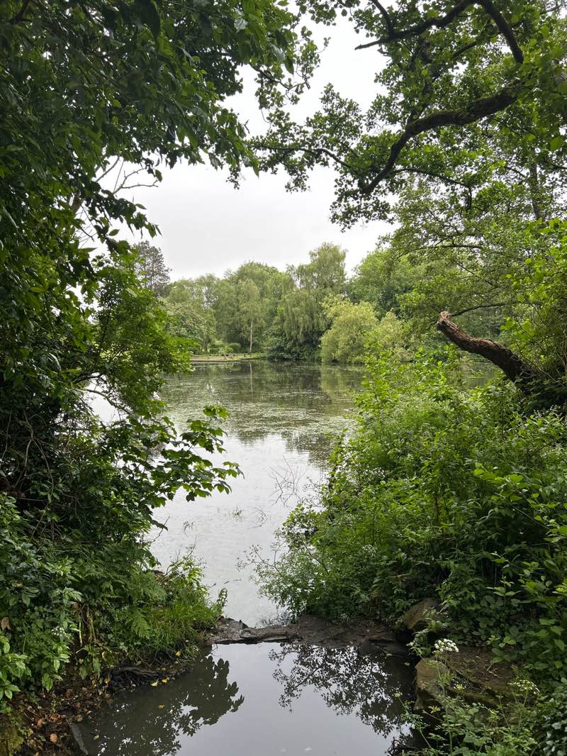 walking near me in Haslam Park in summer
