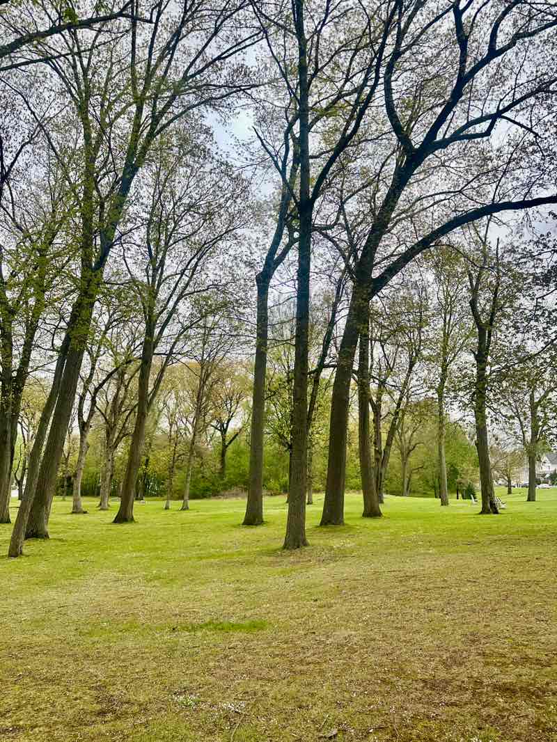 walking near me in Rowland Park in spring