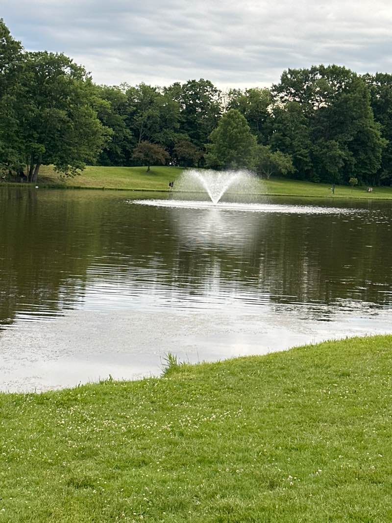 walking near me in Stanley Quarter Park in summer