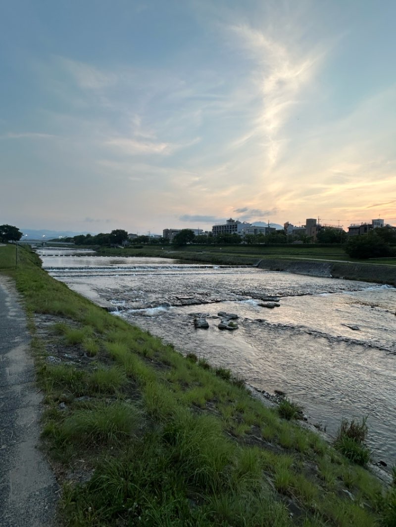 walking near me in 鴨川公園 in summer
