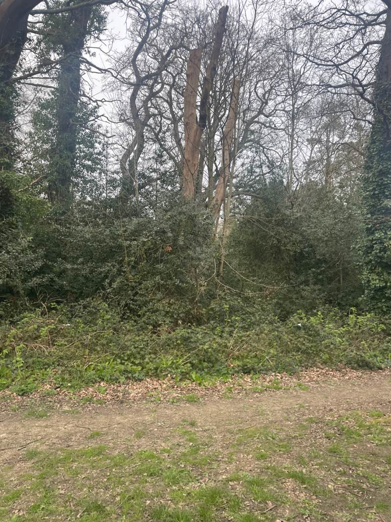 walking near me in Southampton Common in spring