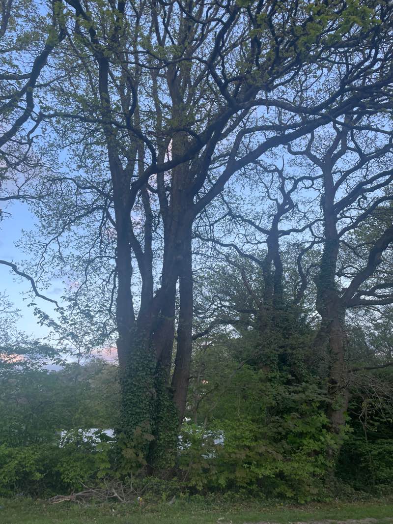 walking near me in Southampton Sports Centre in spring