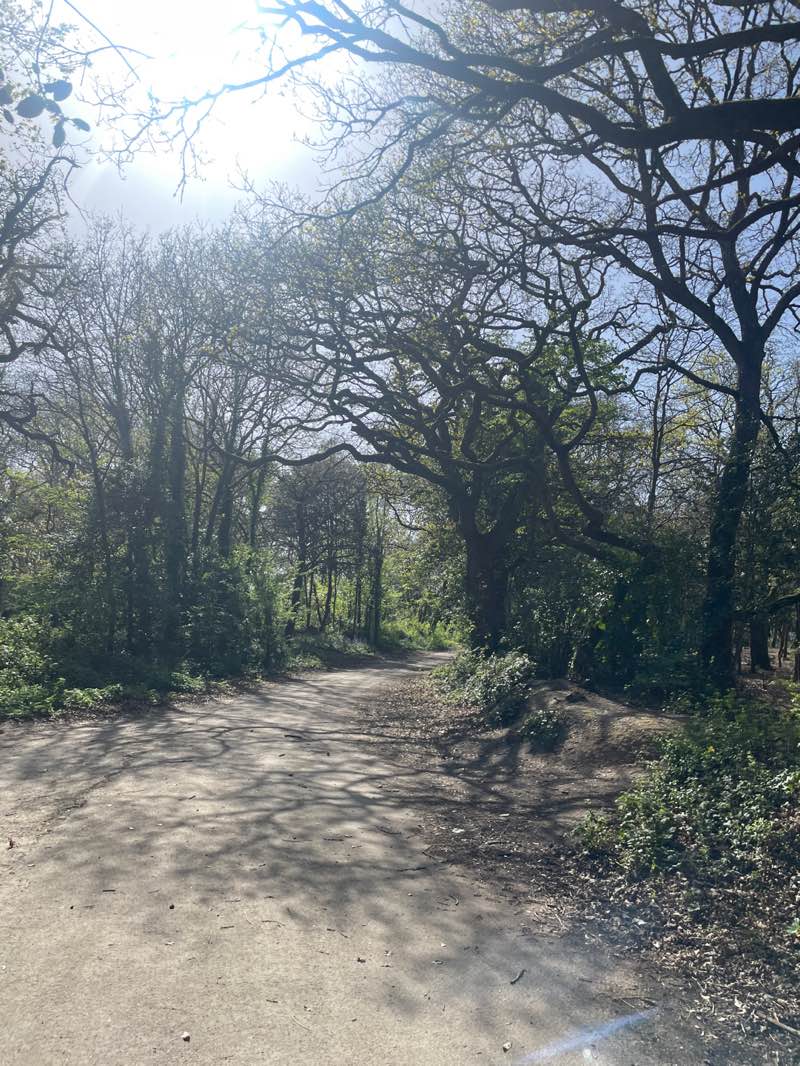 walking near me in Royal Victoria Country Park in spring
