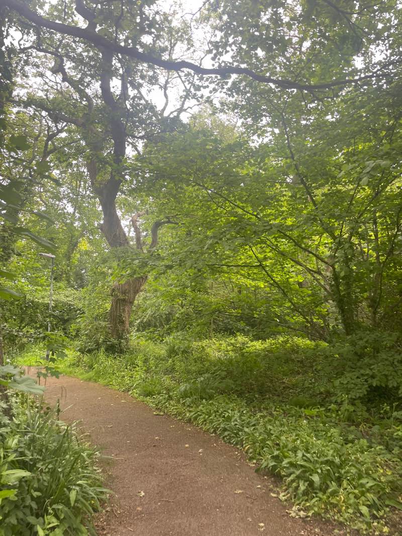 walking near me in Southampton Sports Centre in summer