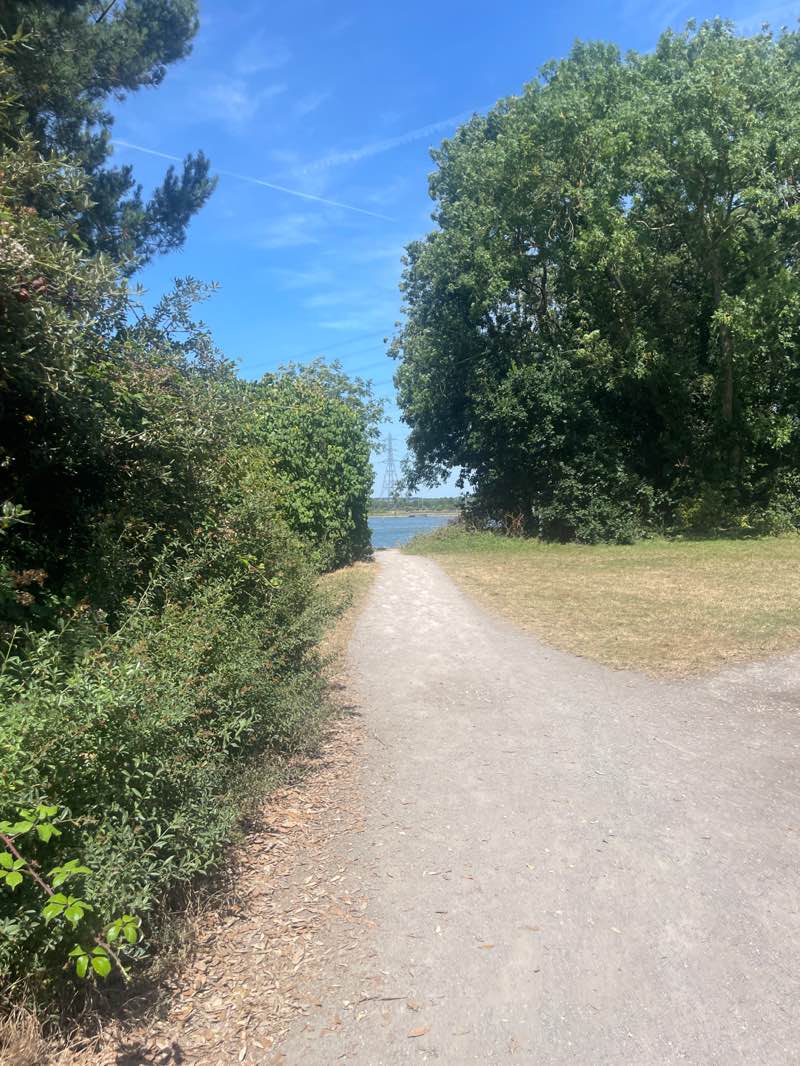 walking near me in Goatee Shore in summer