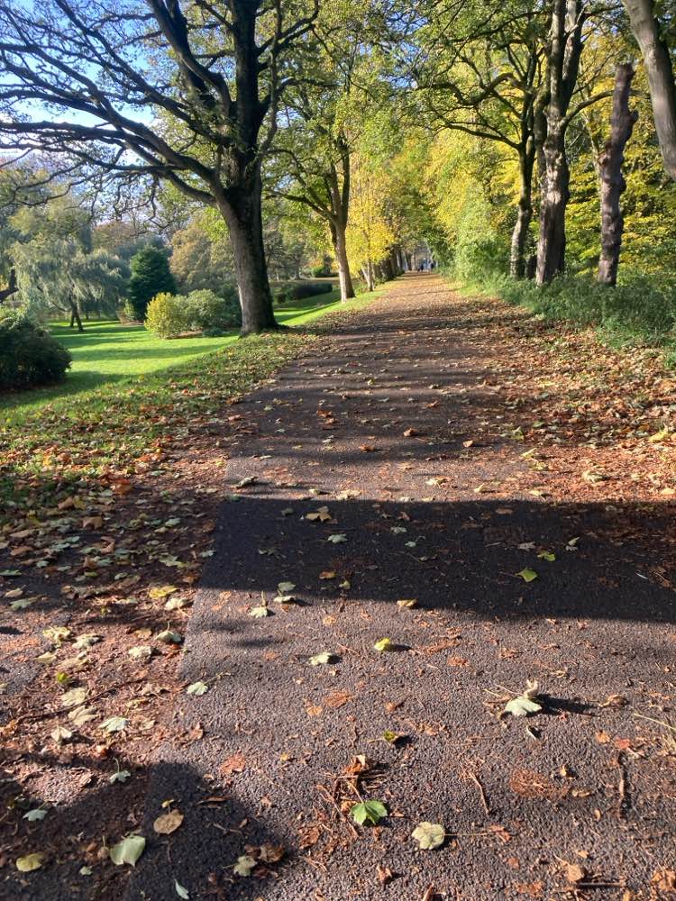 walking near me in Bitts Park in autumn