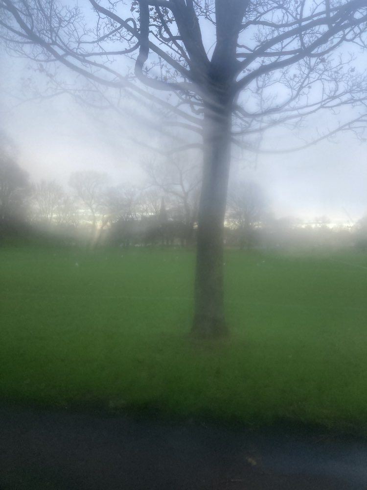 walking near me in Leith Links West in autumn