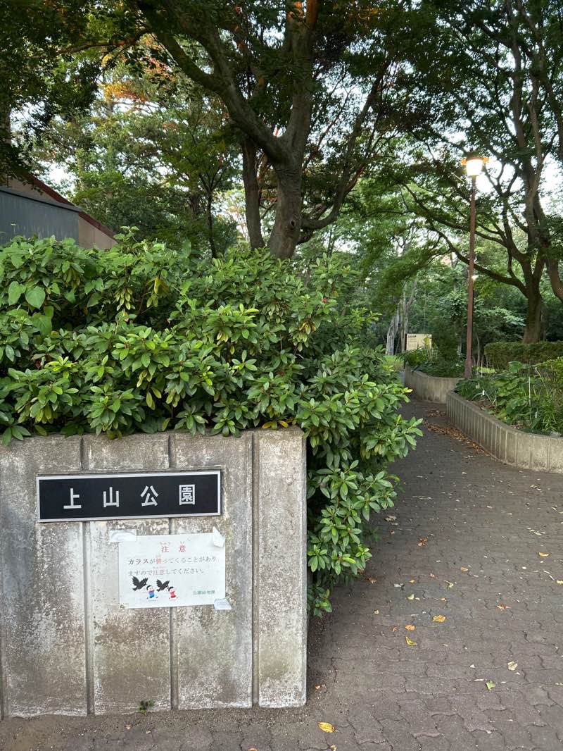 walking near me in Kaminoyama Park in autumn