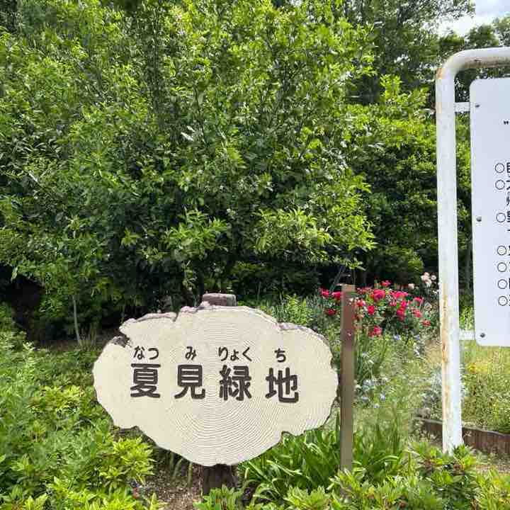🐜🐜 post 1