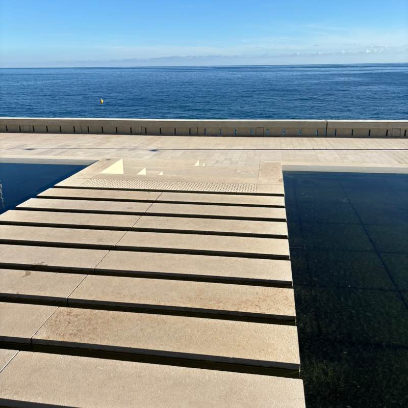 August 5k Race #1 Morgane 🐵 post image