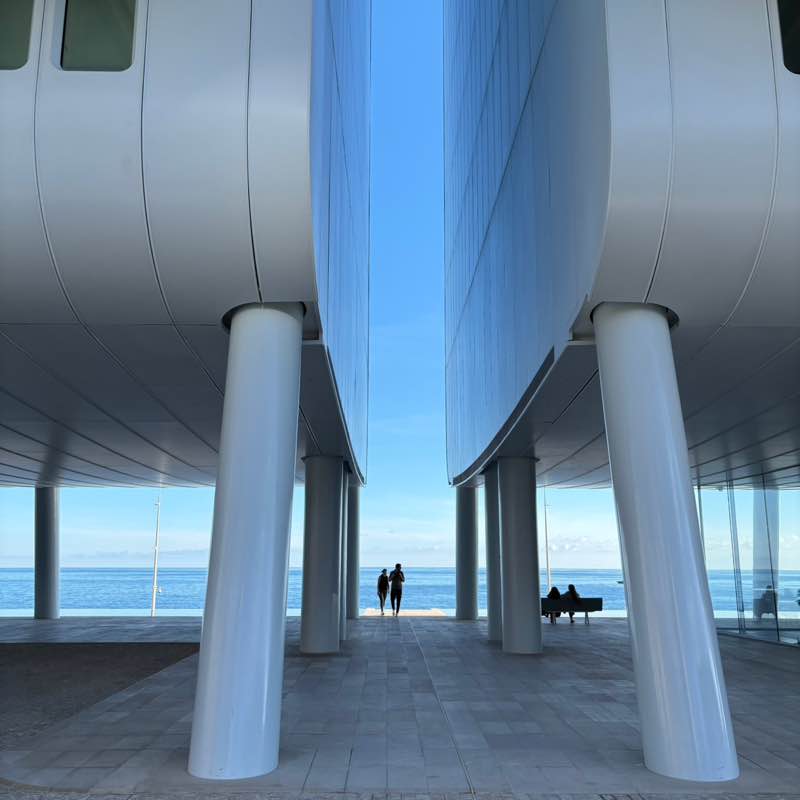 August 5k Race #1 Morgane 🐵 post image