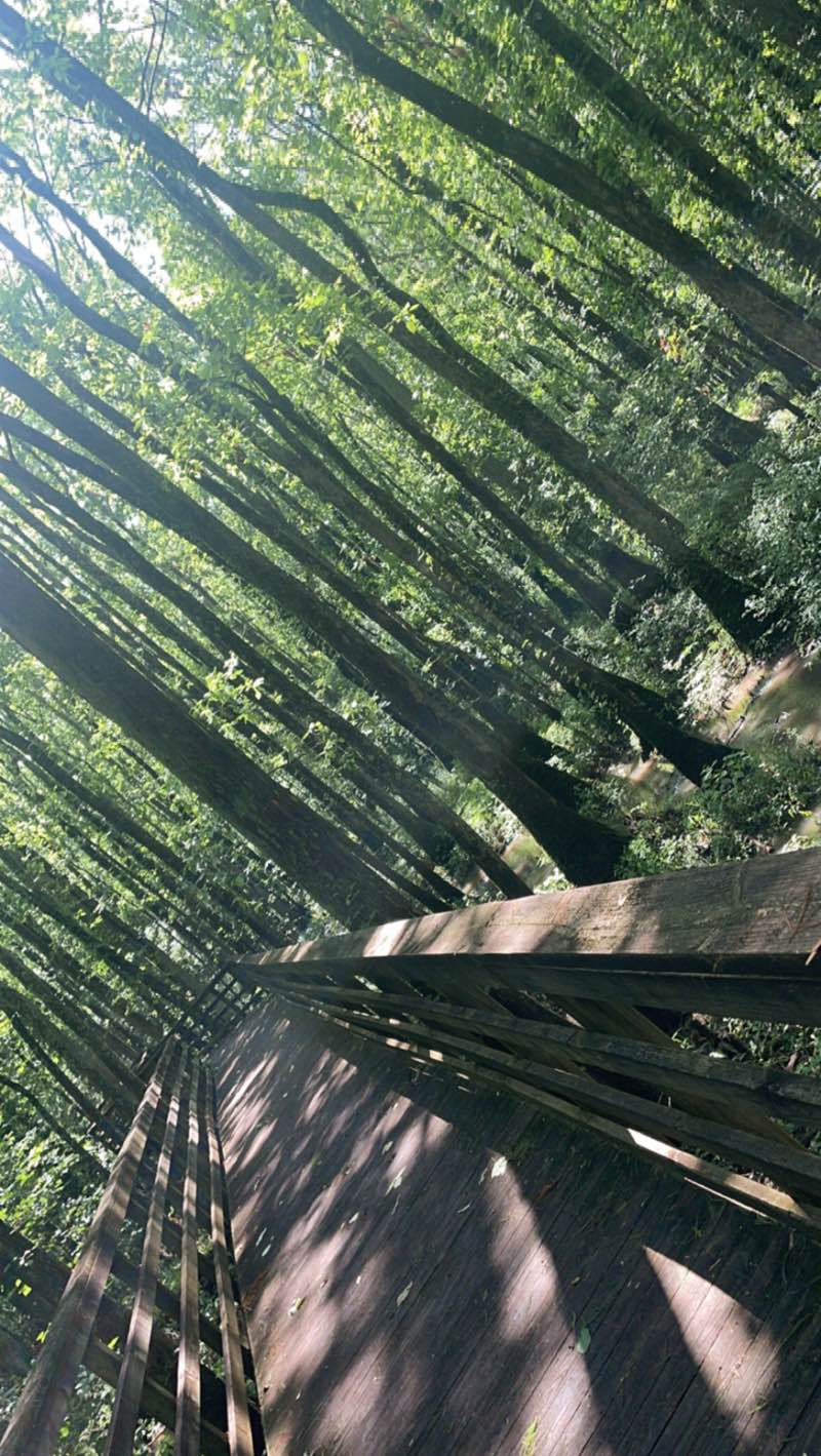 walking near me in William B. Clark State Natural Area in winter
