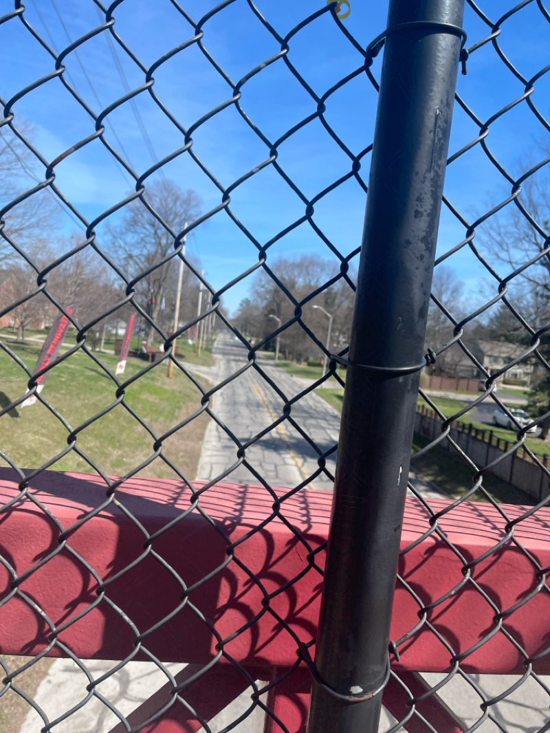 walking near me in Canterbury Park in spring