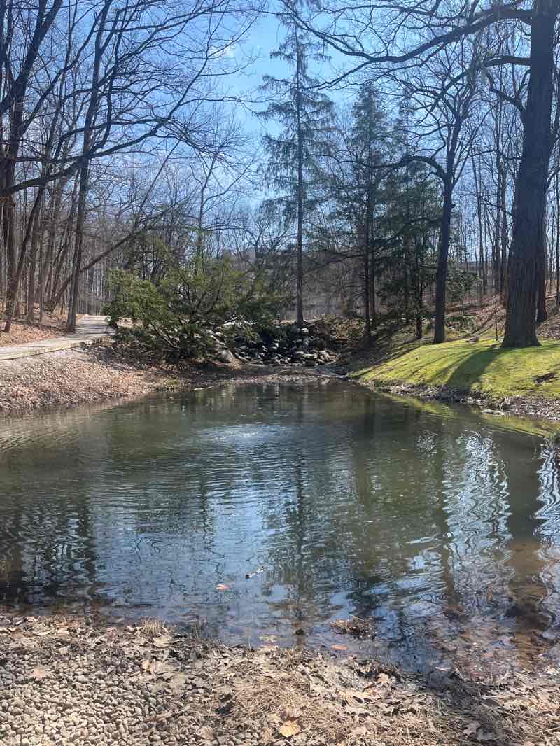 walking near me in Holcomb Gardens in spring