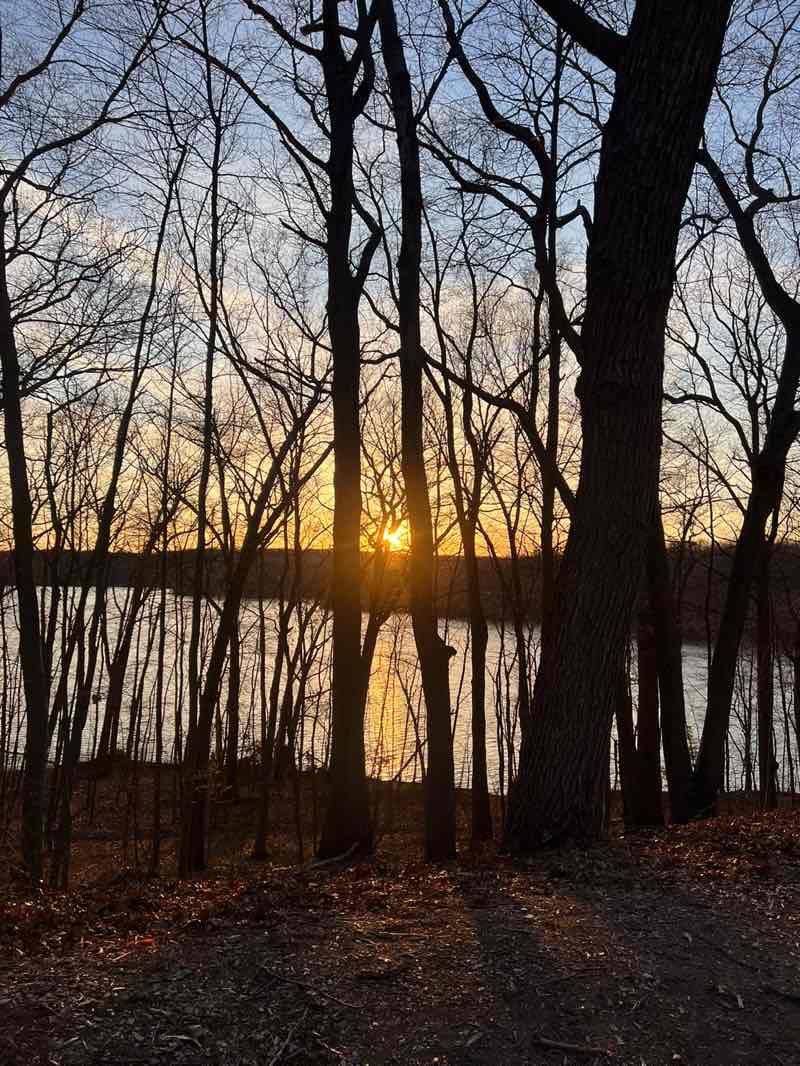 walking near me in Lincoln Woods State Park in spring