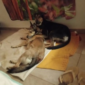 katoche 🇷🇪 😊👋🚶‍♀️💆‍♀️🏃‍♀️🧘‍♂️🏊‍♀️🚵 . 44 🍫🍪🥮