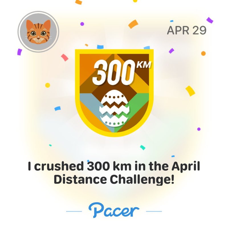 Straycat98 post 1
