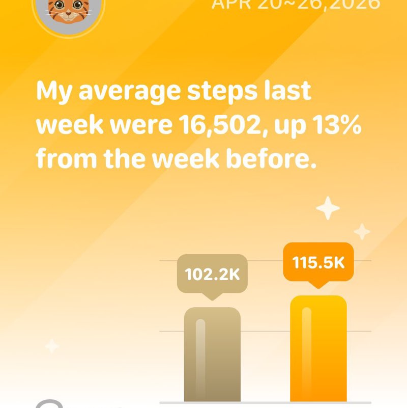 Straycat98 post 3