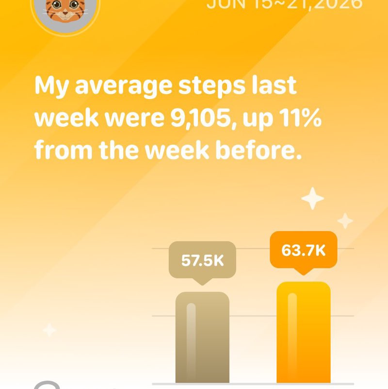 Straycat98 post 3