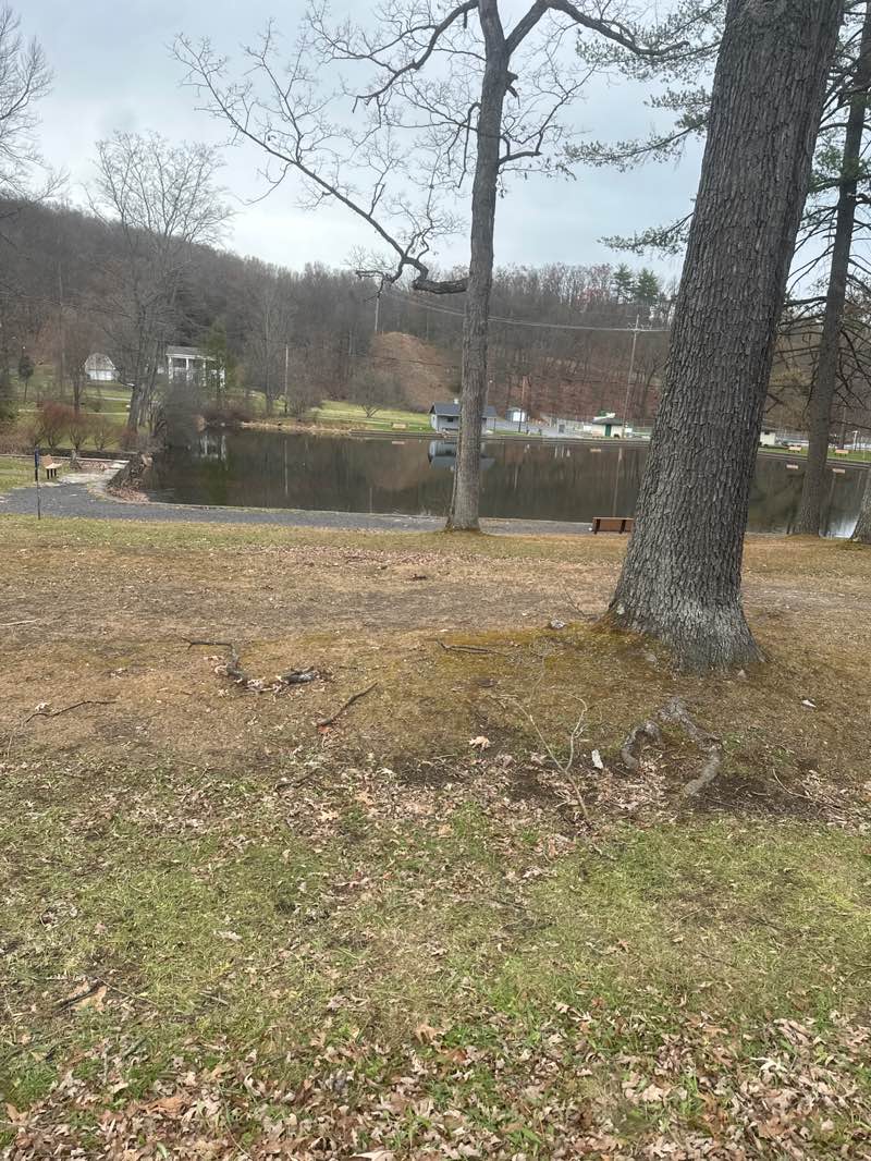 walking near me in Reservoir Park in autumn