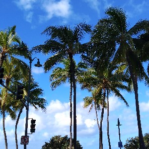 シナモン🚶‍♀️🥀
